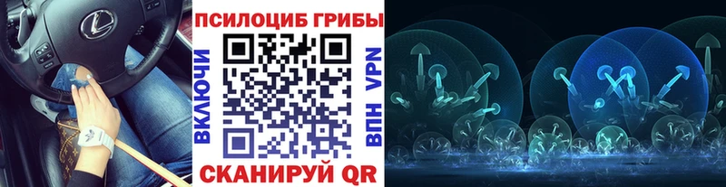 Галлюциногенные грибы ЛСД  Новохопёрск 